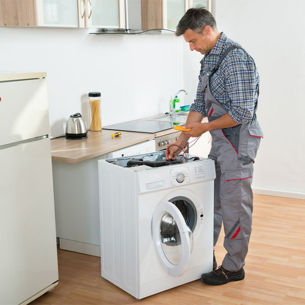 what are common issues that can arise with a washer in Frenchboro